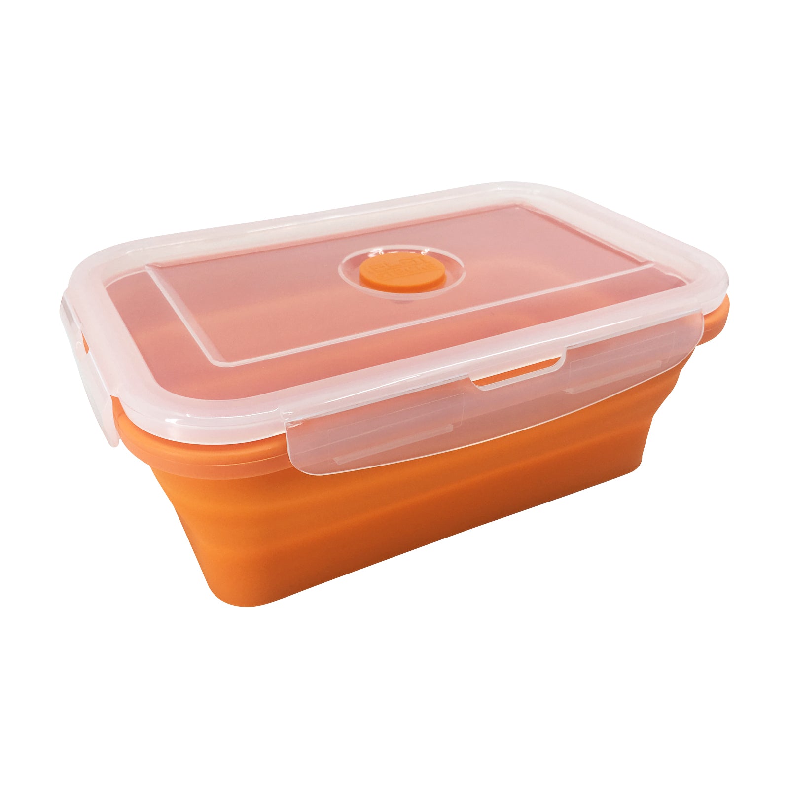 Set of 4 Collapsible Food Storage Containers with Lids Flat Stacks Travel  Fo